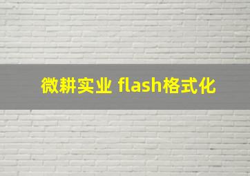 微耕实业 flash格式化